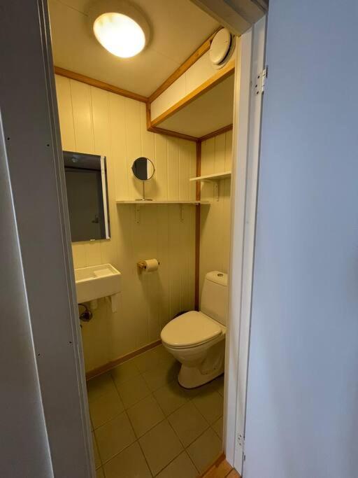 City Center Stylish Loft Trondheim Buitenkant foto